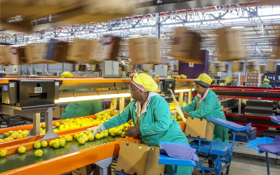 Citrus Tour with SRCC – 21 August 2026